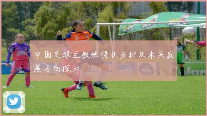 中国足球主教练现状分析及未来发展方向探讨