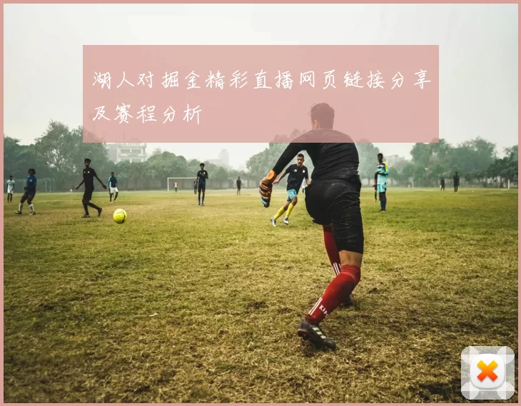 湖人对掘金精彩直播网页链接分享及赛程分析