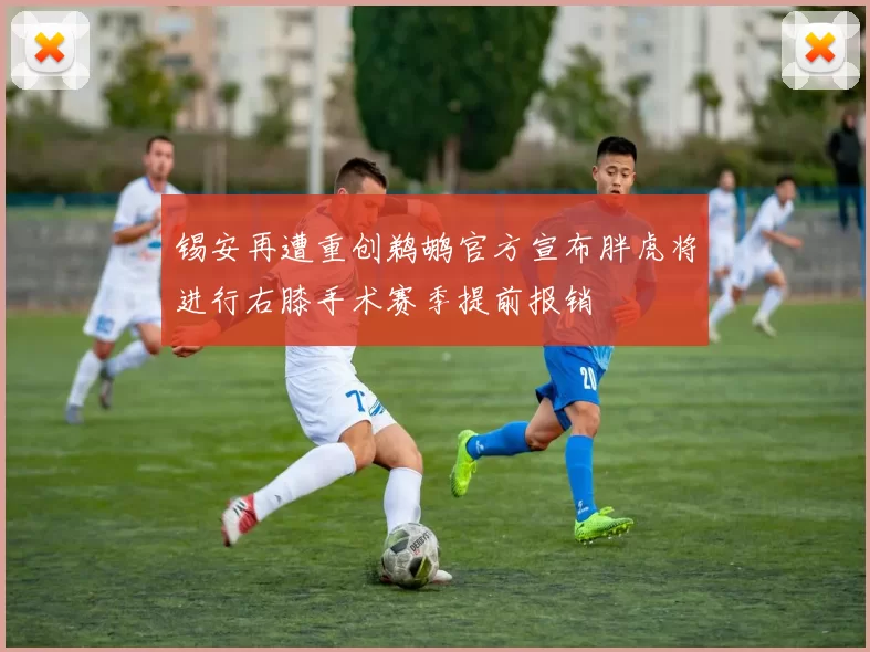 锡安再遭重创鹈鹕官方宣布胖虎将进行右膝手术赛季提前报销