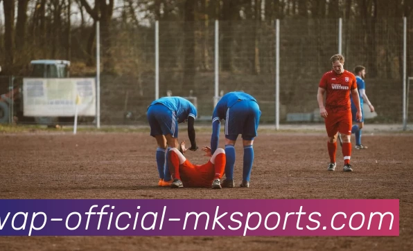 MK体育平台生态图