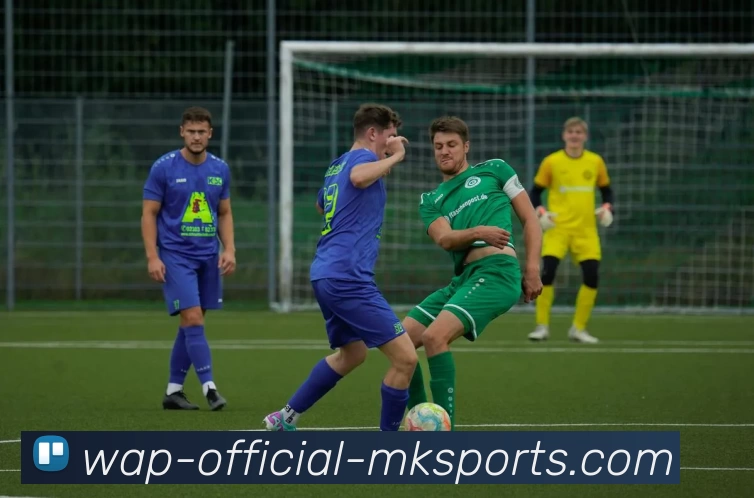 MK体育APP 封面图